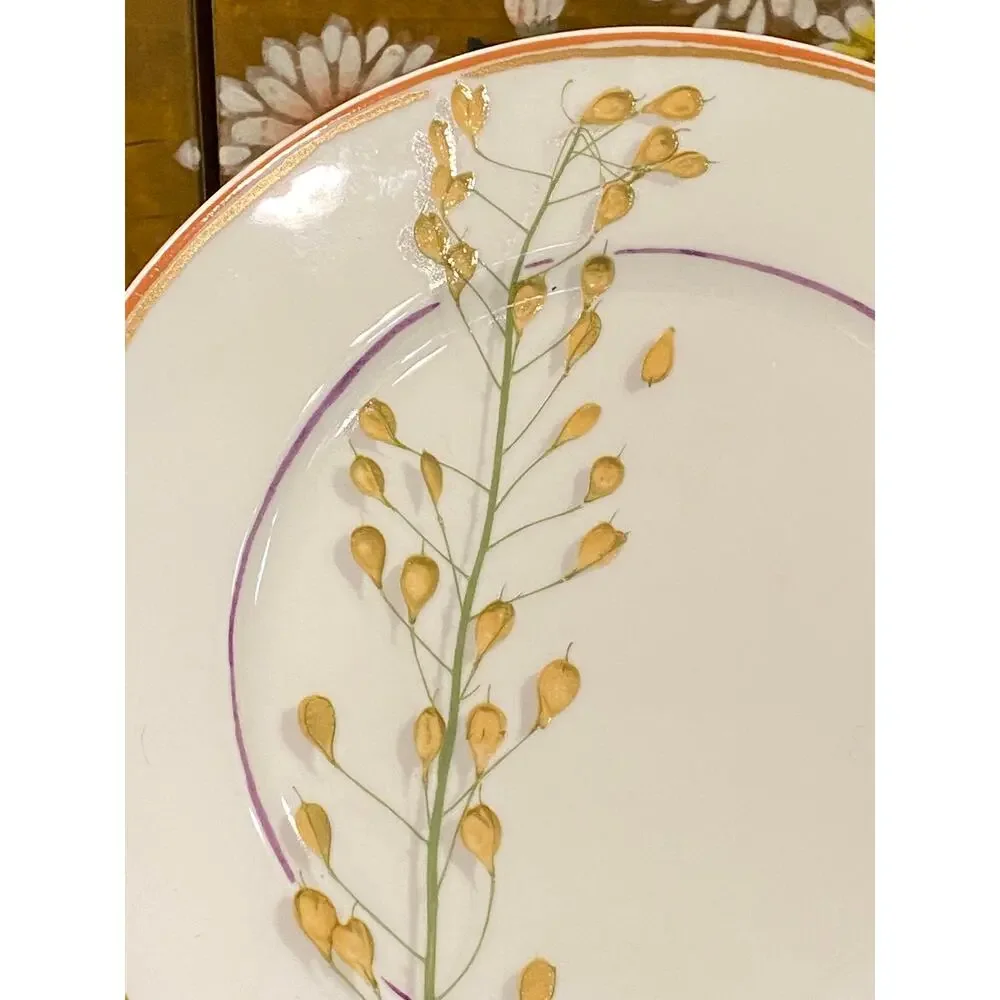 Christian Tortu‎ “Nature” Raynaud Limoges 8-7/8” Porcelain Plate FLAWLESS!
